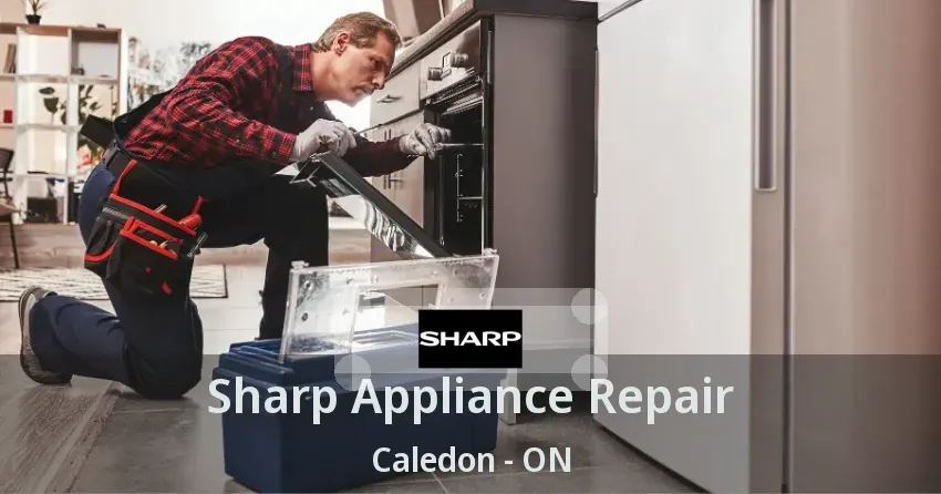 Sharp Appliance Repair Caledon - ON