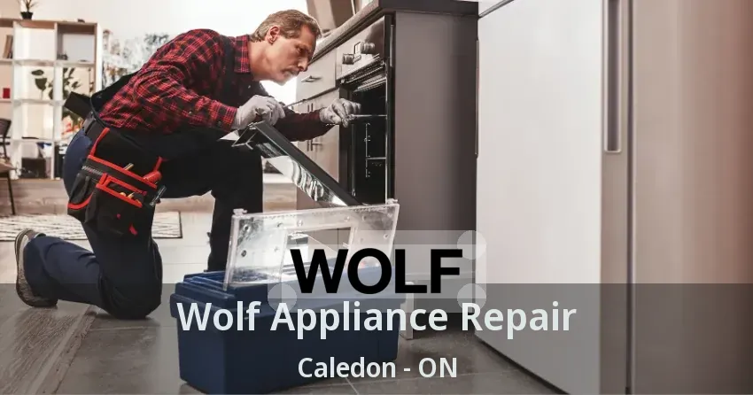 Wolf Appliance Repair Caledon - ON