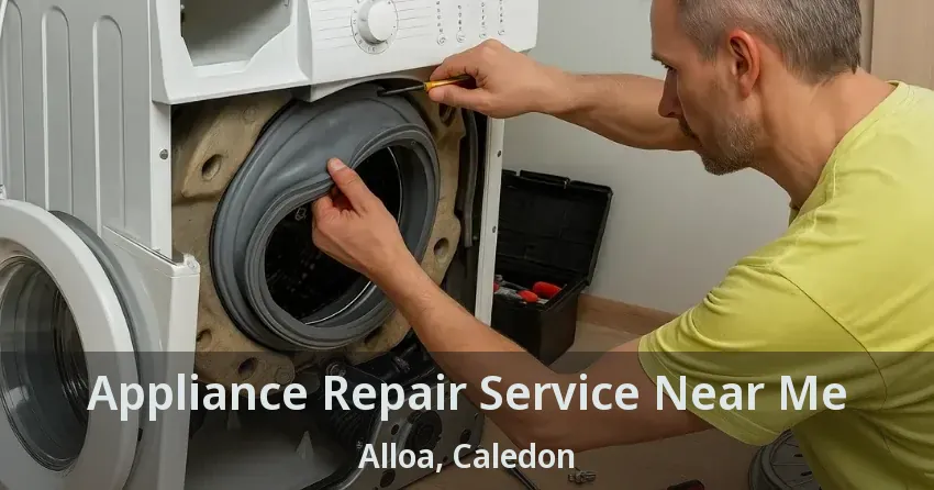 Appliance Repair Service Near Me Alloa, Caledon - ON