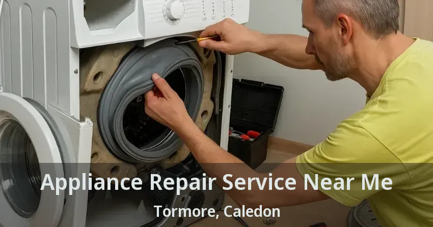 Appliance Repair Service Near Me Tormore, Caledon - ON