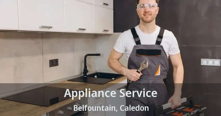 Appliance Service Belfountain, Caledon - ON