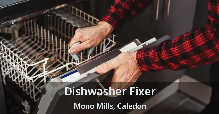 Dishwasher Fixer Mono Mills, Caledon - ON