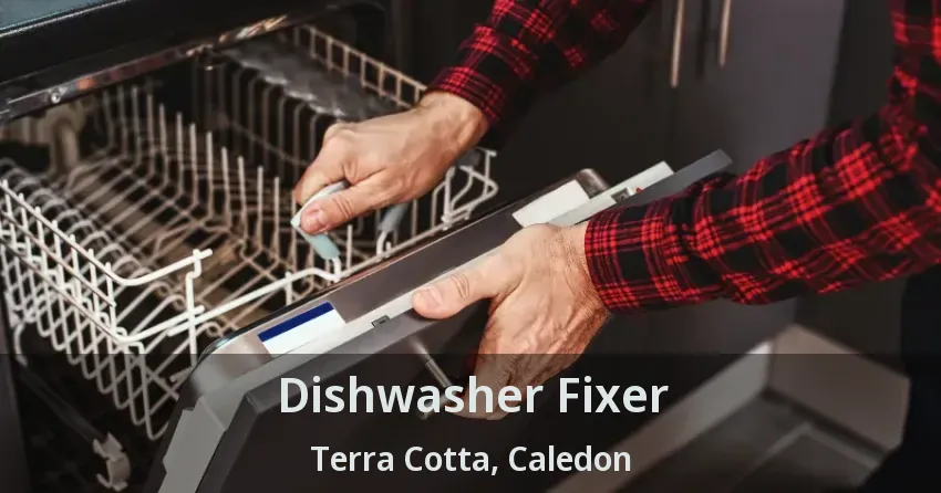 Dishwasher Fixer Terra Cotta, Caledon - ON