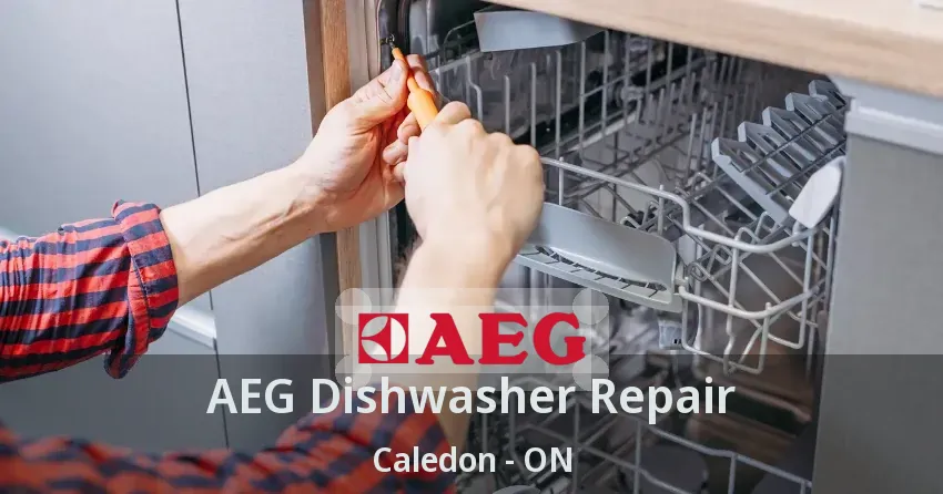 AEG Dishwasher Repair Caledon - ON