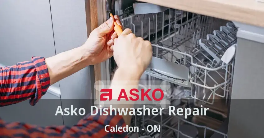 Asko Dishwasher Repair Caledon - ON