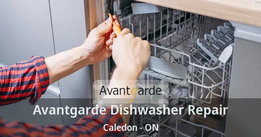 Avantgarde Dishwasher Repair Caledon - ON