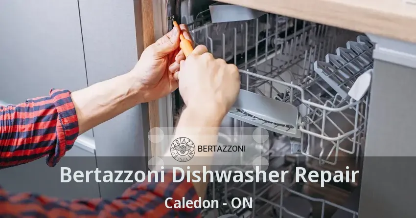 Bertazzoni Dishwasher Repair Caledon - ON