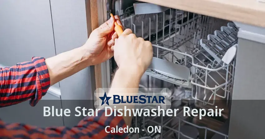 Blue Star Dishwasher Repair Caledon - ON
