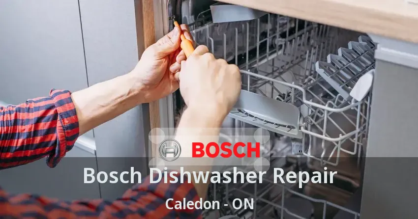 Bosch Dishwasher Repair Caledon - ON