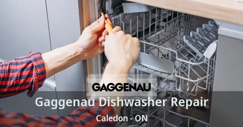 Gaggenau Dishwasher Repair Caledon - ON