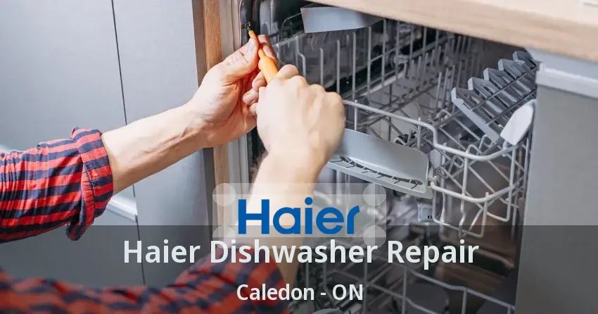 Haier Dishwasher Repair Caledon - ON
