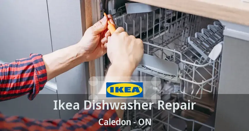 Ikea Dishwasher Repair Caledon - ON
