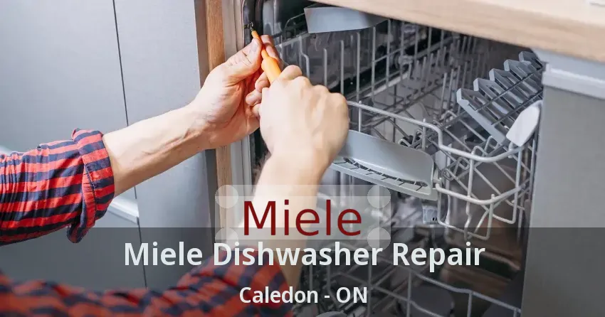 Miele Dishwasher Repair Caledon - ON
