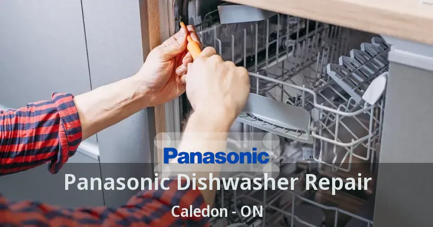 Panasonic Dishwasher Repair Caledon - ON