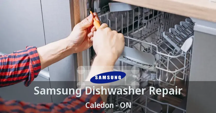 Samsung Dishwasher Repair Caledon - ON