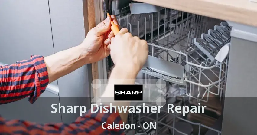 Sharp Dishwasher Repair Caledon - ON