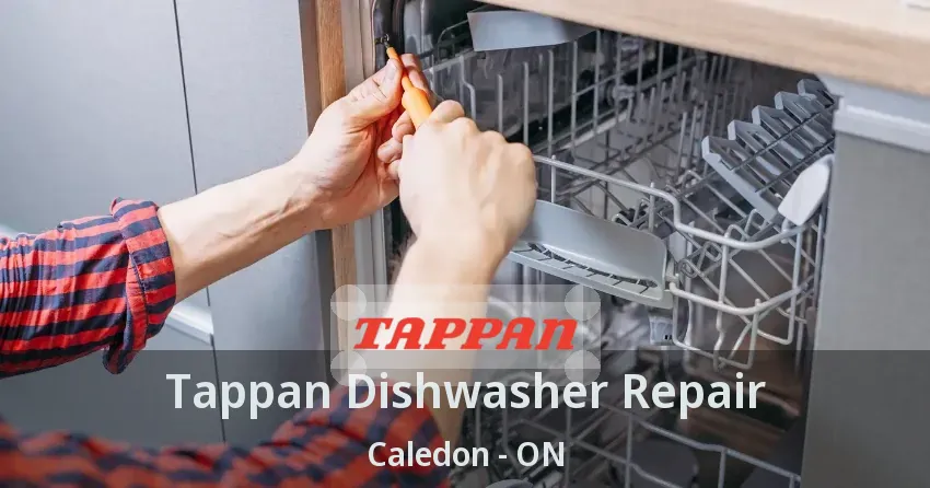 Tappan Dishwasher Repair Caledon - ON