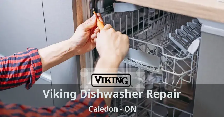 Viking Dishwasher Repair Caledon - ON