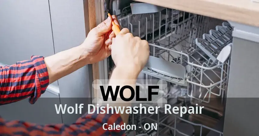 Wolf Dishwasher Repair Caledon - ON