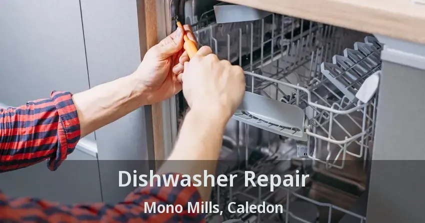 Dishwasher Repair Mono Mills, Caledon - ON