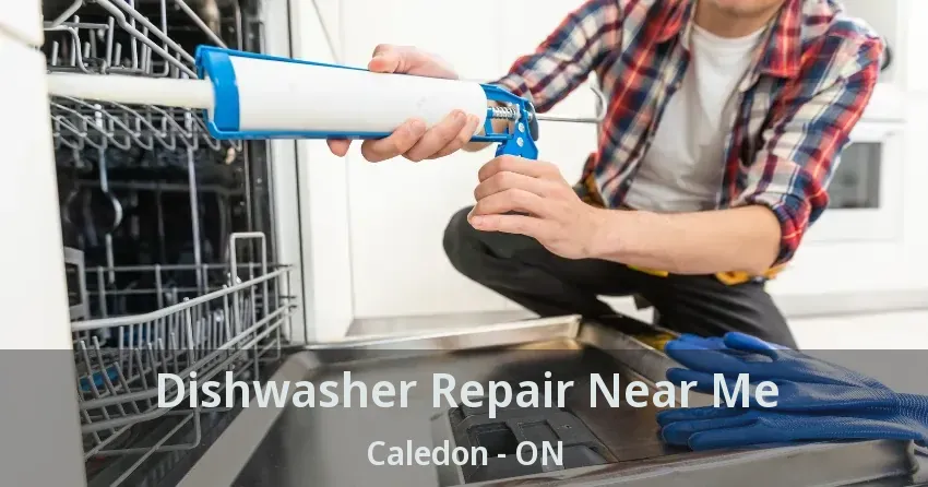Dishwasher Repair Near Me Caledon - ON