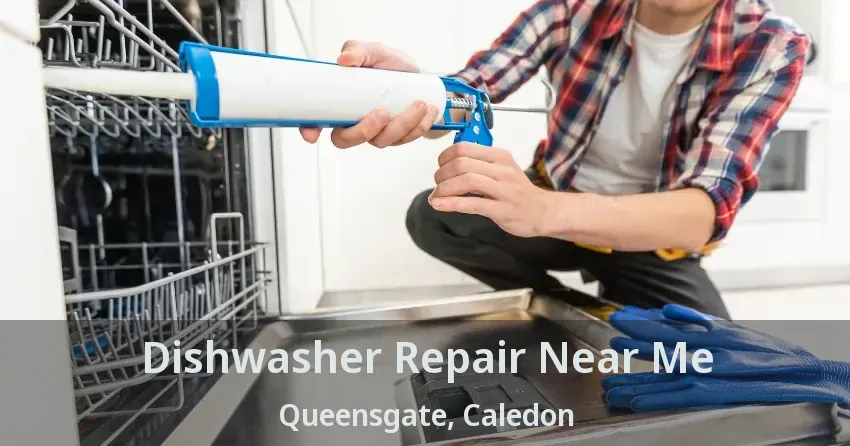 Dishwasher Repair Near Me Queensgate, Caledon - ON