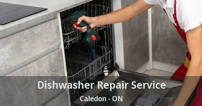Dishwasher Repair Service Caledon - ON
