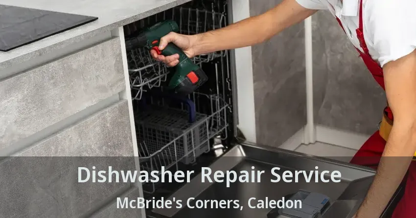 Dishwasher Repair Service McBride's Corners, Caledon - ON