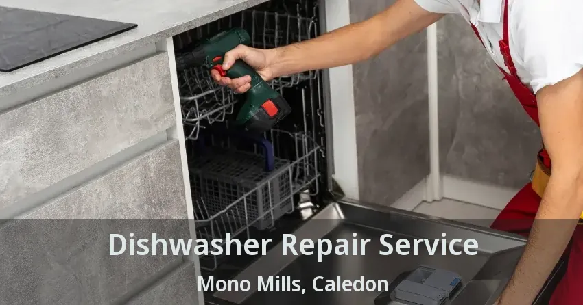 Dishwasher Repair Service Mono Mills, Caledon - ON