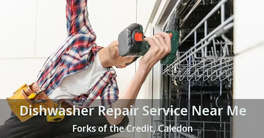 Dishwasher Repair Service Near Me Forks of the Credit, Caledon - ON