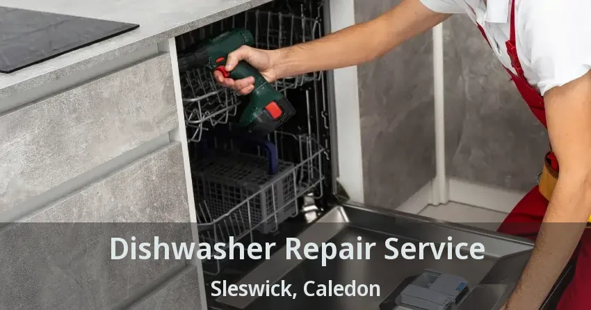 Dishwasher Repair Service Sleswick, Caledon - ON