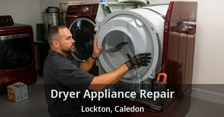 Dryer Appliance Repair Lockton, Caledon - ON