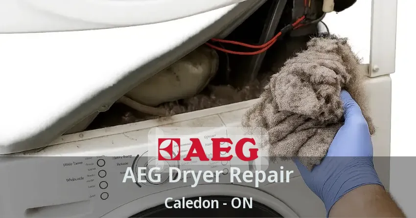 AEG Dryer Repair Caledon - ON