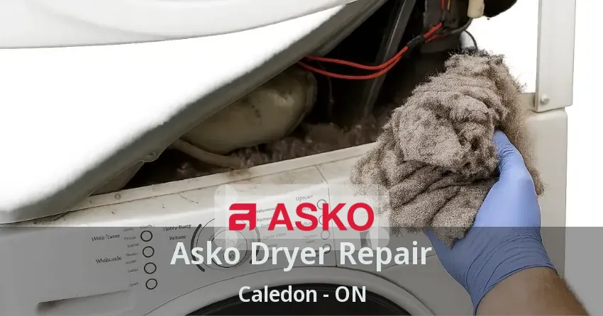 Asko Dryer Repair Caledon - ON