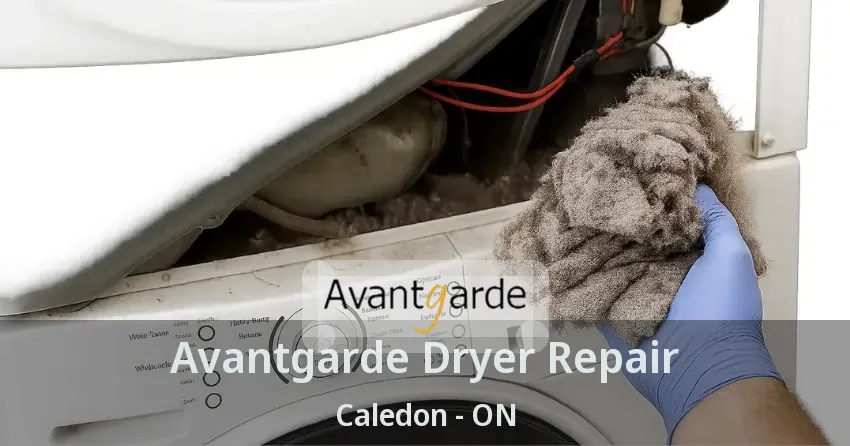 Avantgarde Dryer Repair Caledon - ON