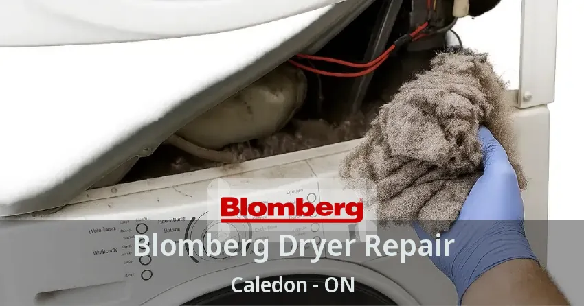Blomberg Dryer Repair Caledon - ON