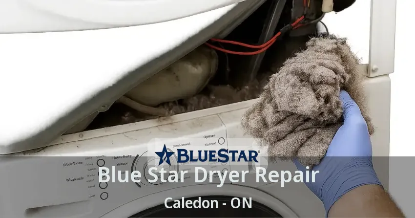 Blue Star Dryer Repair Caledon - ON