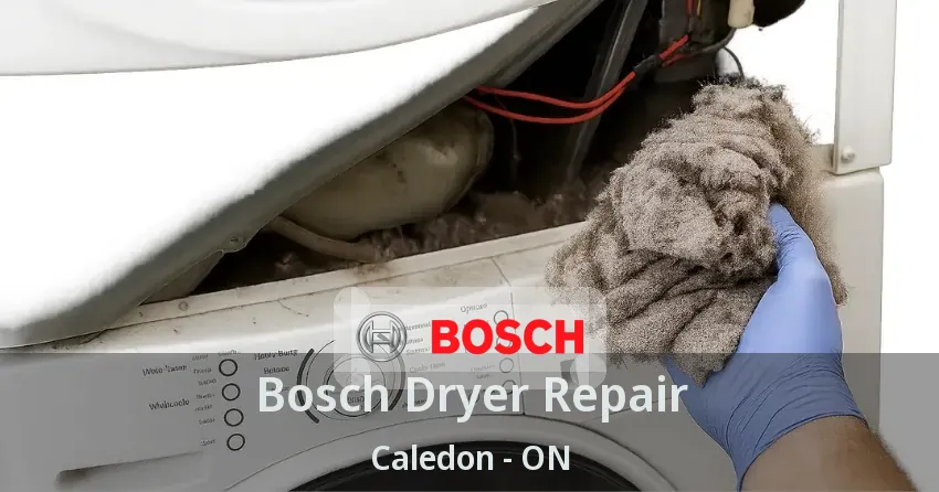 Bosch Dryer Repair Caledon - ON