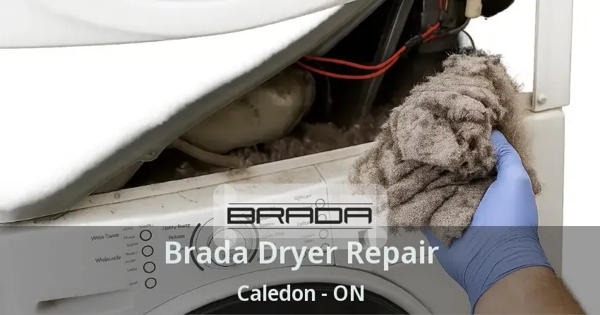 Brada Dryer Repair Caledon - ON