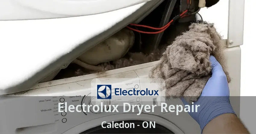 Electrolux Dryer Repair Caledon - ON