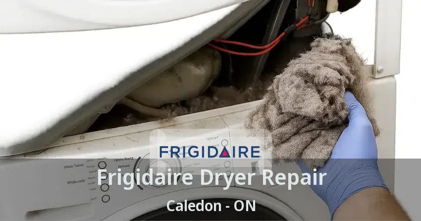 Frigidaire Dryer Repair Caledon - ON