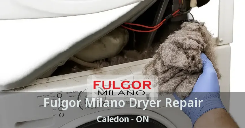 Fulgor Milano Dryer Repair Caledon - ON
