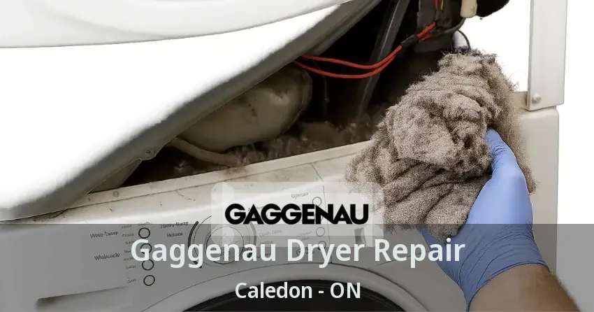 Gaggenau Dryer Repair Caledon - ON