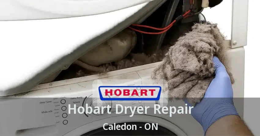 Hobart Dryer Repair Caledon - ON