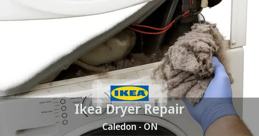 Ikea Dryer Repair Caledon - ON