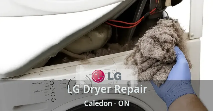 LG Dryer Repair Caledon - ON