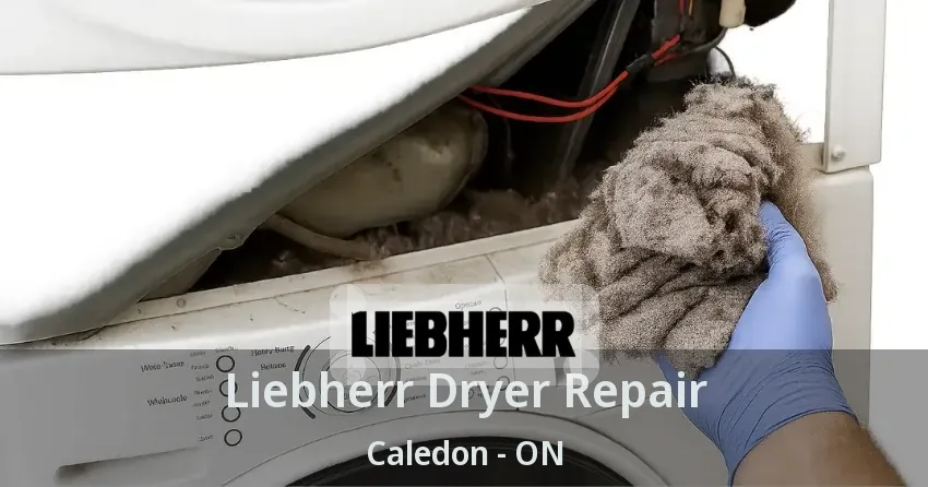 Liebherr Dryer Repair Caledon - ON