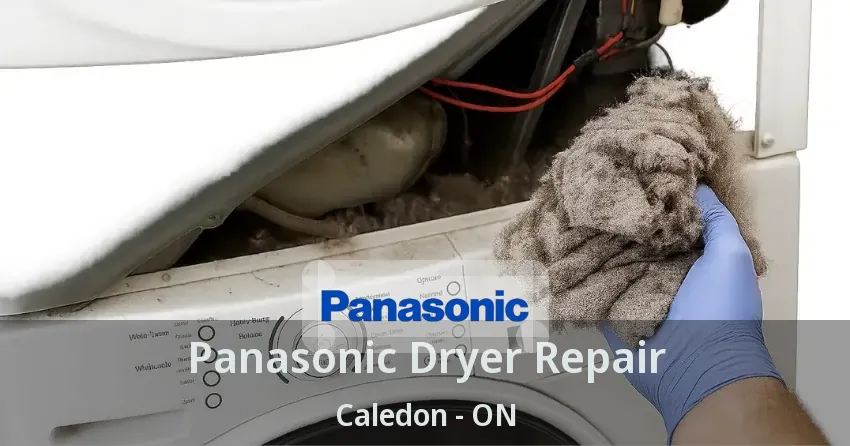 Panasonic Dryer Repair Caledon - ON