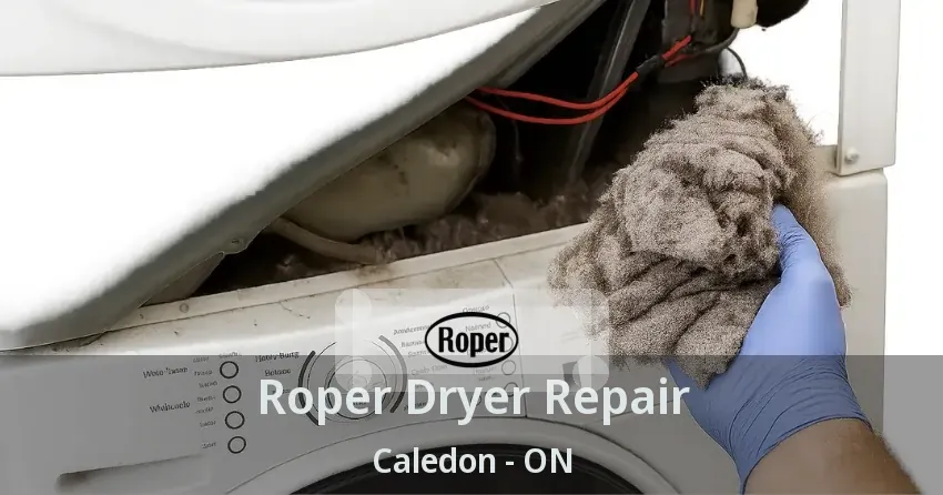 Roper Dryer Repair Caledon - ON