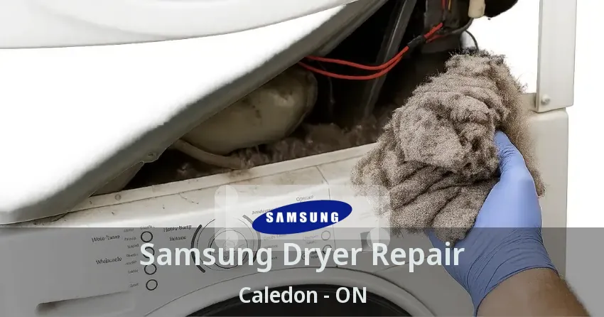 Samsung Dryer Repair Caledon - ON